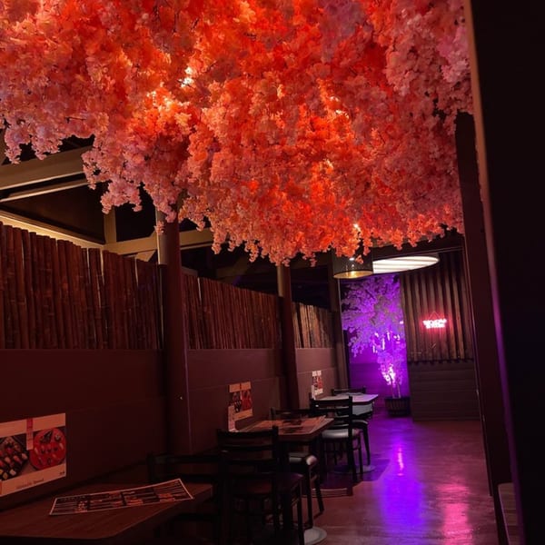 Sushiya's dining area with a ceiling covered in pink cherry blossoms and purple lighting.