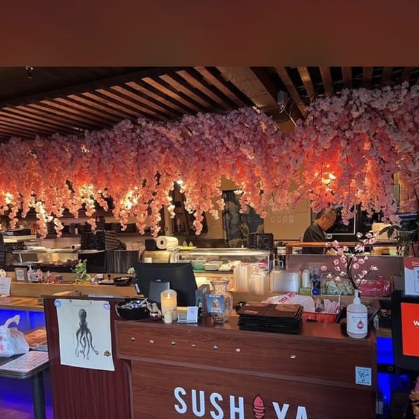 Sushiya restaurant interior with a sushi bar, a chef, and pink cherry blossom decorations hanging from the ceiling.