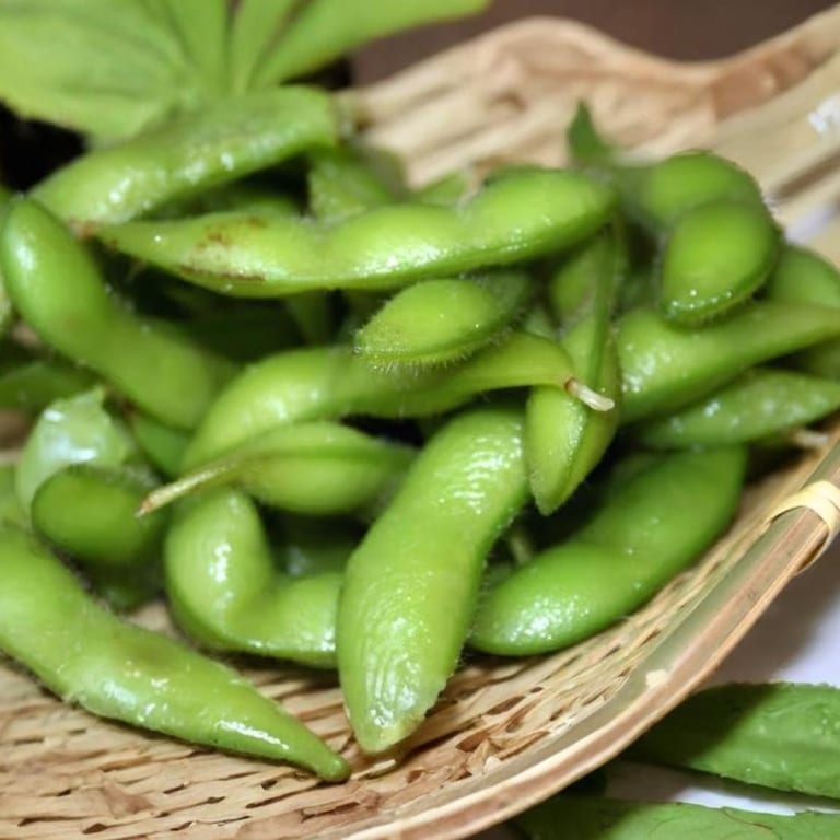 Delicious Edamame: A Tasty Asian Appetizer