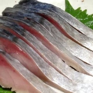 Spanish Mackerel Sashimi